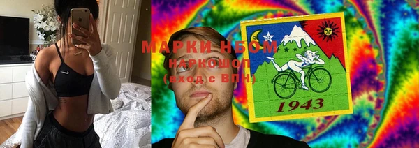 крисы Алзамай