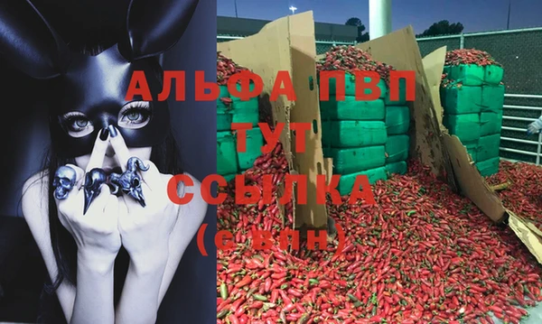 крисы Алзамай