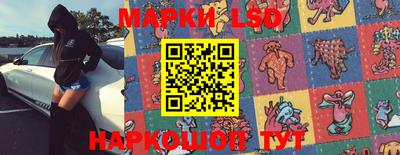 гашик Донской