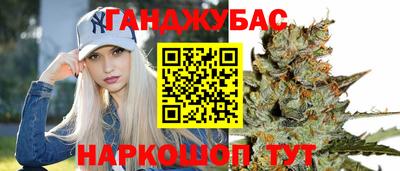 гашик Донской