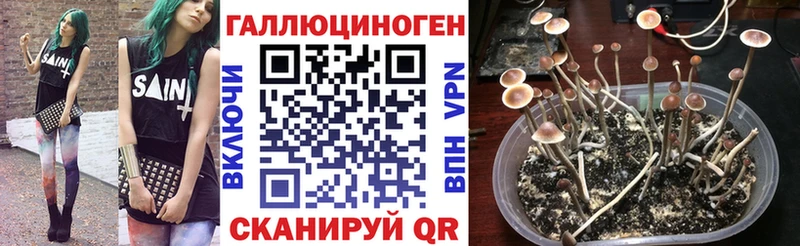 Галлюциногенные грибы мухоморы  цены наркотик  МЕГА   Десногорск 