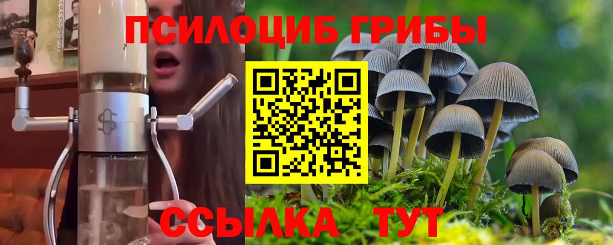 Псилоцибиновые грибы прущие грибы  Вход с VPN  магазин    Десногорск  Галлюциногенные грибы Psilocybe 